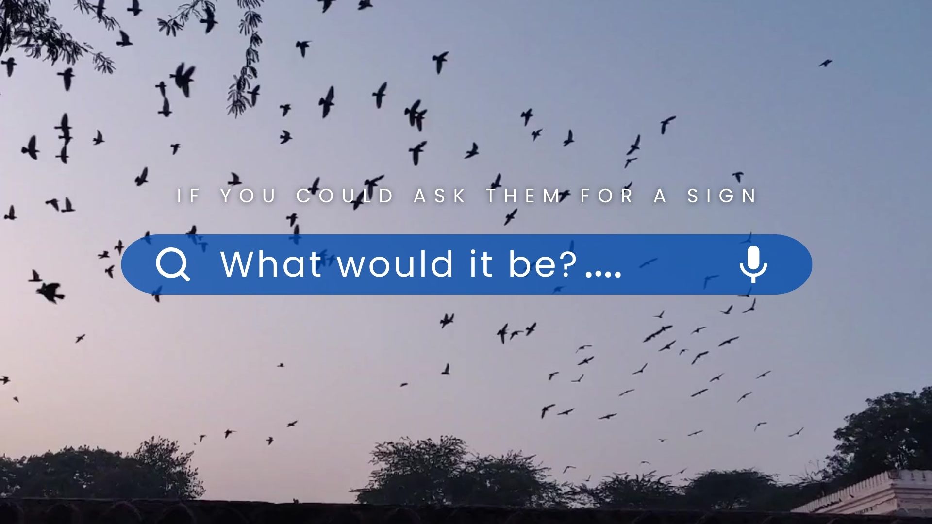 header-image-if-you-could-ask-for-a-sign